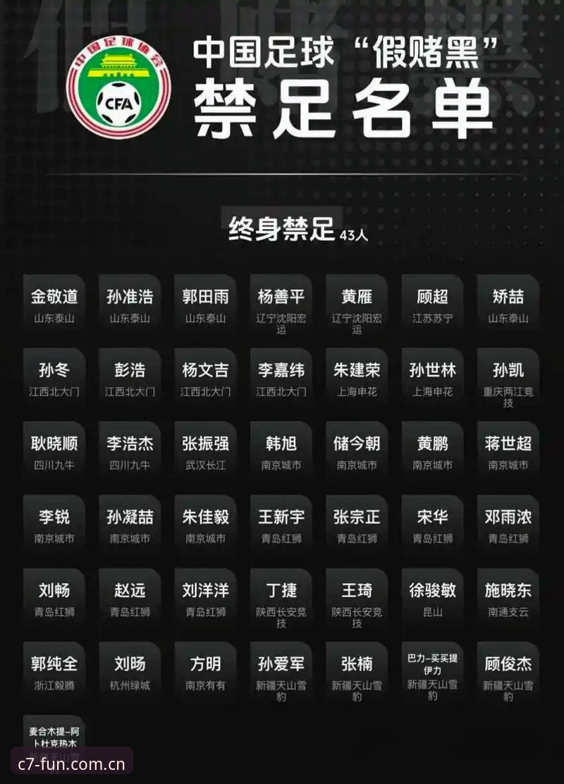 C7电子在线娱乐 中国足协第三批禁足名单公布,C7电子在线娱乐用户怎么看?